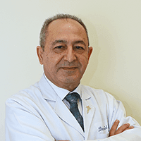 Dr. Said Taha Mahmoud